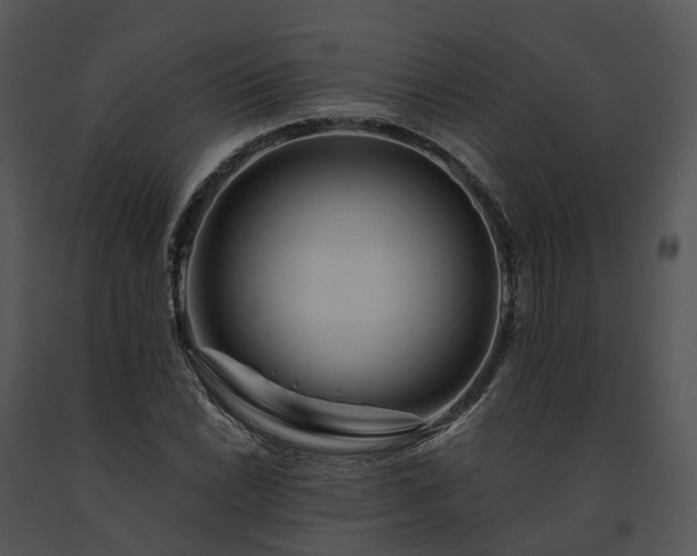 X0000091671022200708301455