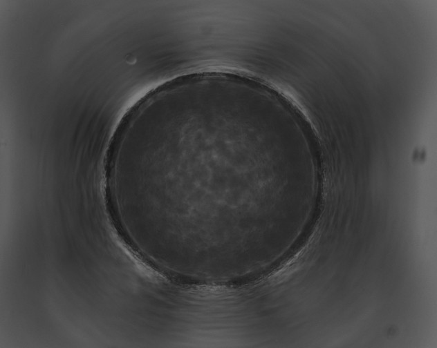 X0000091671024200708301455