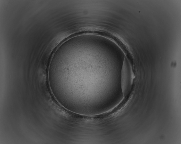 X0000091671025200708301455