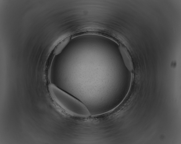 X0000091671026200708301455