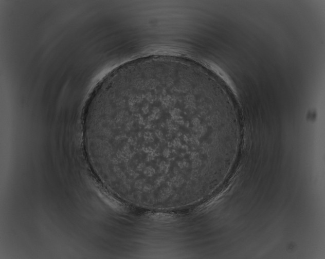 X0000091671027200708301455