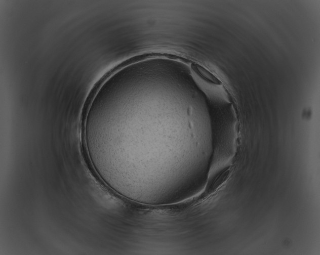 X0000091671028200708301455