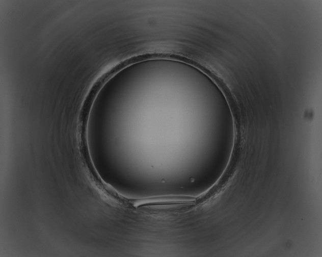 X0000091671029200708301455