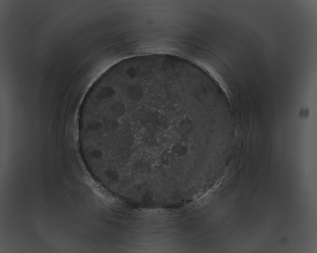 X0000091671031200708301455