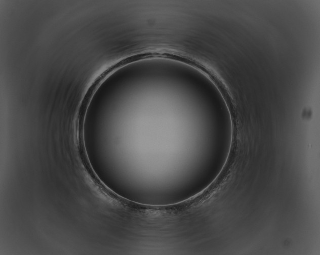 X0000091671032200708301455