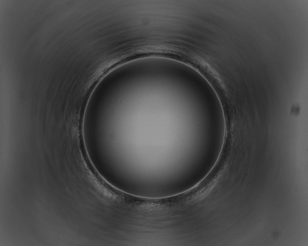 X0000091671033200708301455