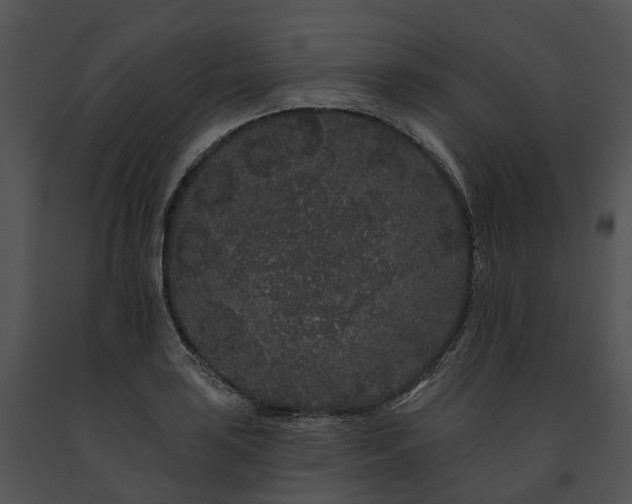X0000091671035200708301455