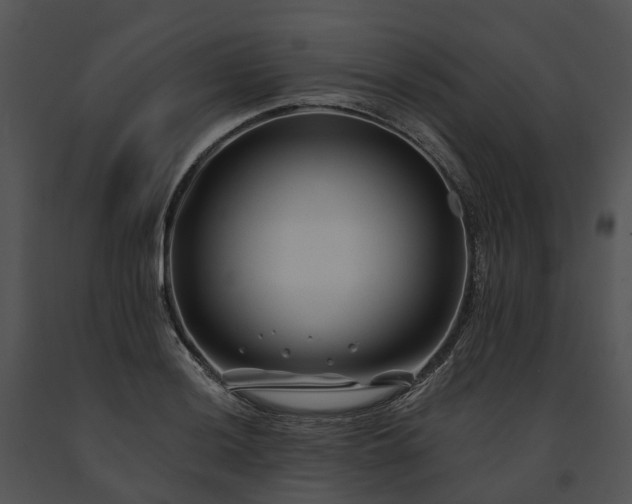 X0000091671036200708301455