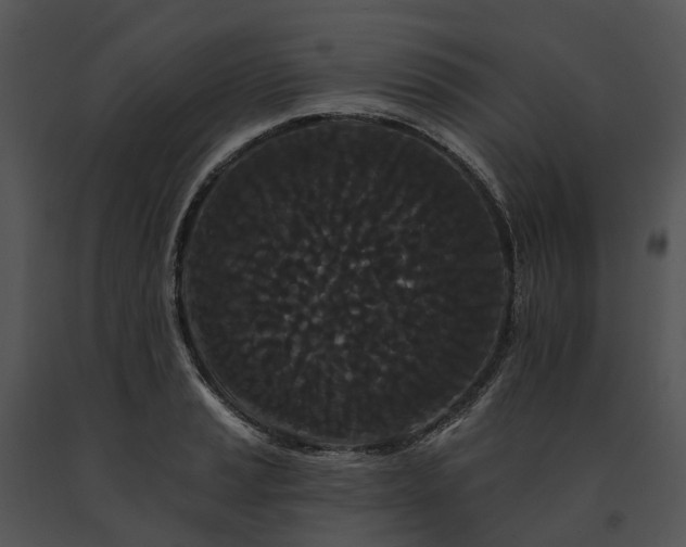 X0000091671037200708301455