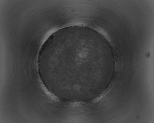 X0000091671038200708301455