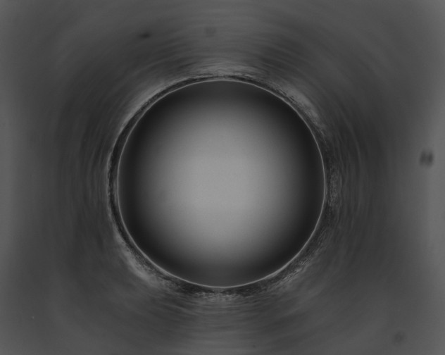 X0000091671039200708301455