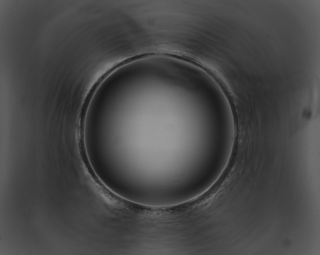 X0000091671040200708301455