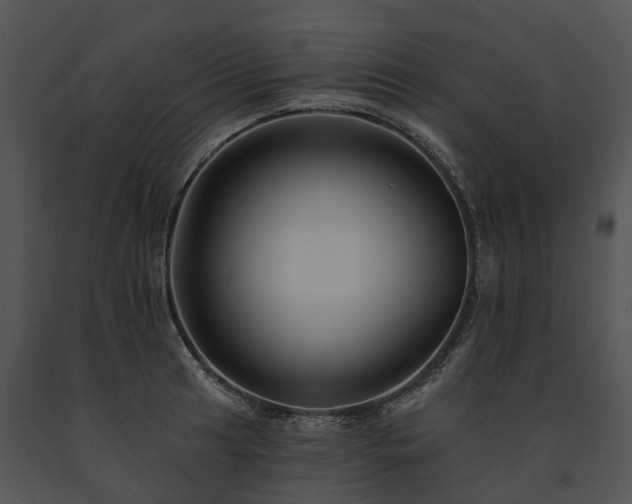X0000091671041200708301455