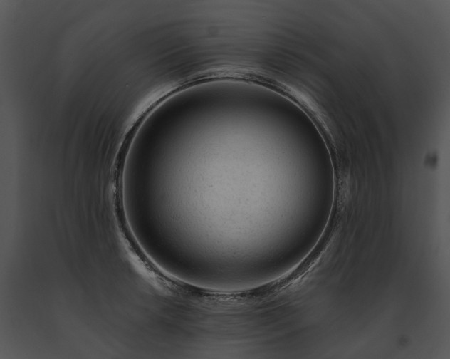 X0000091671042200708301455