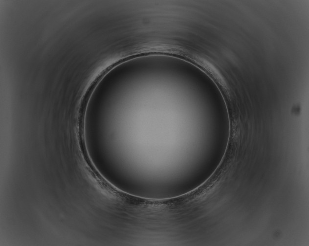 X0000091671043200708301455