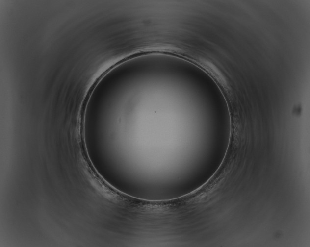 X0000091671044200708301455