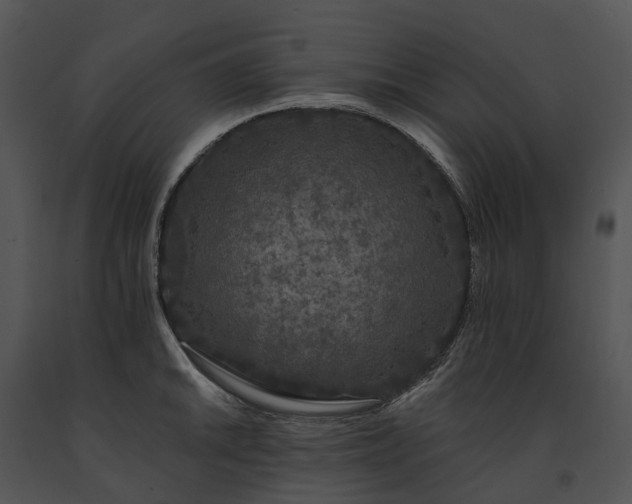 X0000091671046200708301455