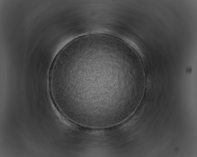 X0000091671047200708301455