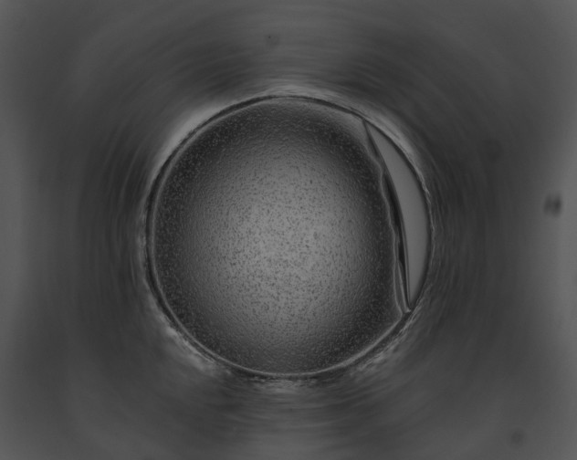 X0000091671048200708301455