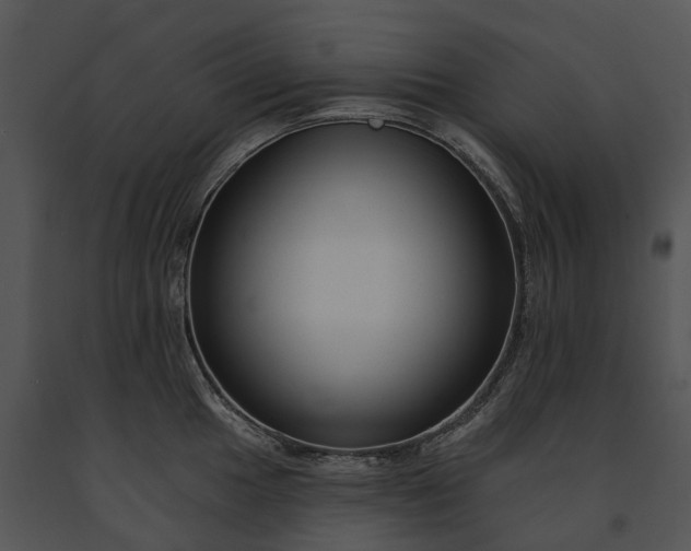 X0000091671049200708301455