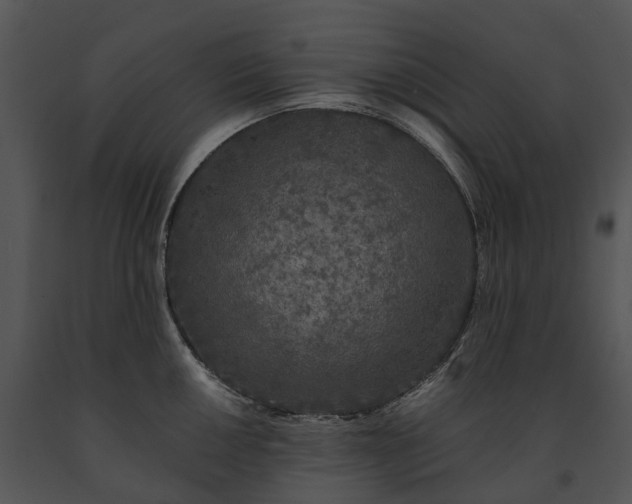 X0000091671050200708301455