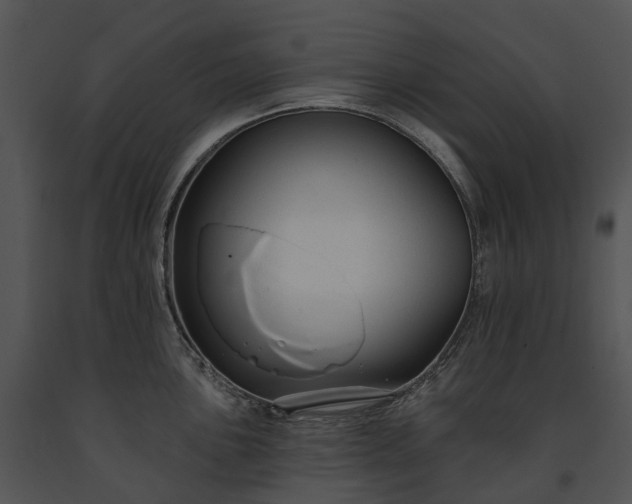 X0000091671051200708301455