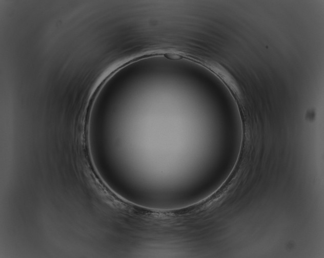 X0000091671052200708301455