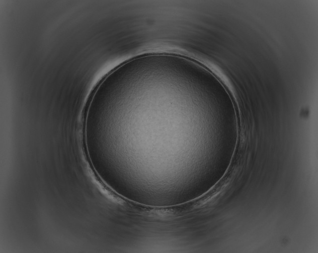 X0000091671053200708301455