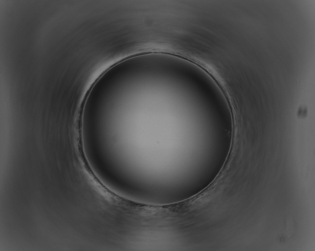 X0000091671056200708301455