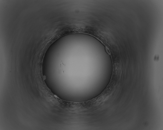 X0000091671057200708301455
