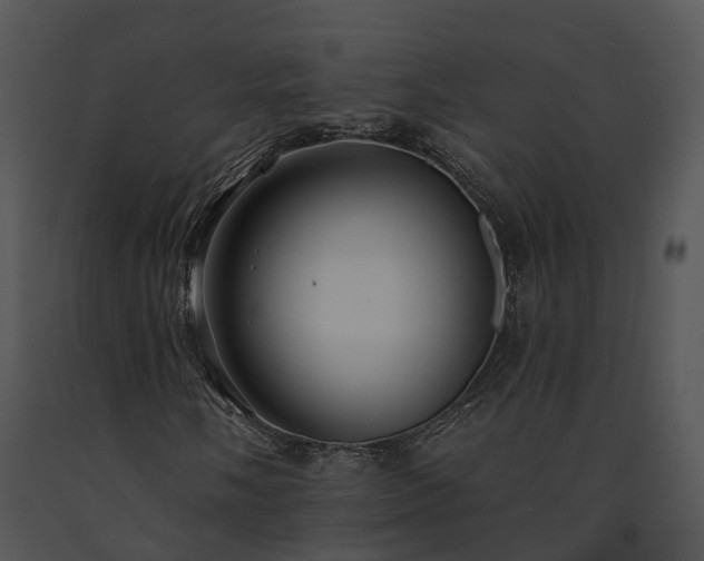 X0000091671058200708301455