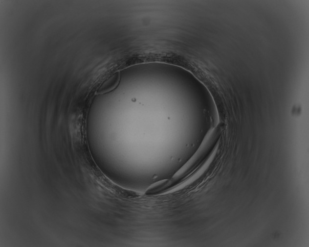 X0000091671059200708301455