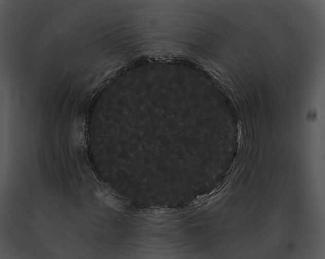 X0000091671060200708301455