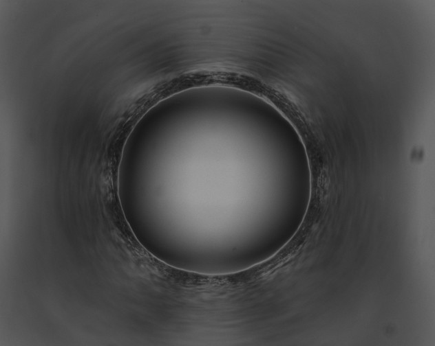 X0000091671062200708301455