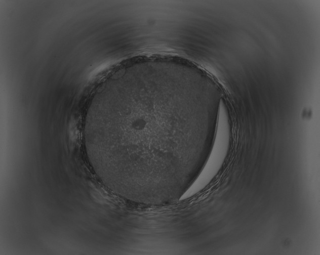 X0000091671063200708301455