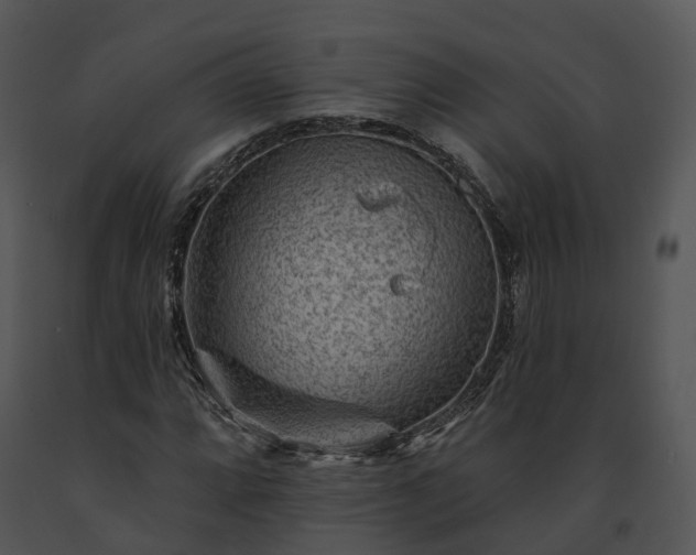 X0000091671064200708301455
