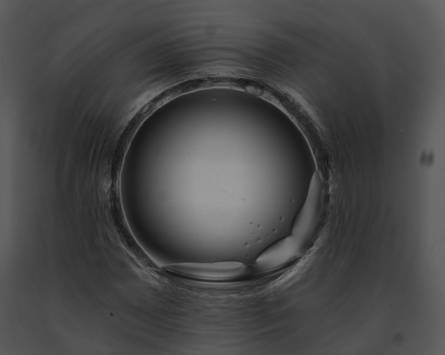 X0000091671065200708301455