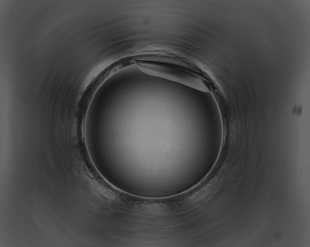 X0000091671066200708301455