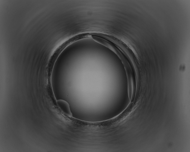 X0000091671069200708301455