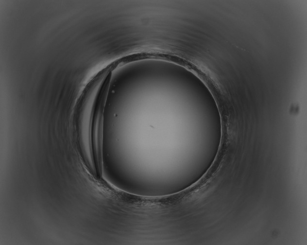 X0000091671070200708301455