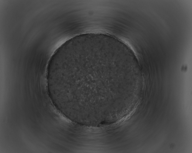 X0000091671071200708301455