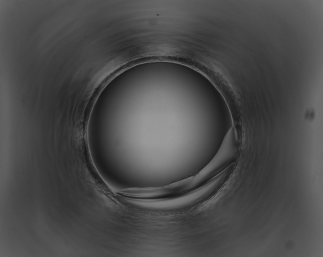 X0000091671073200708301455