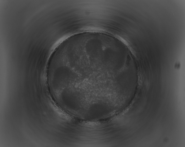 X0000091671074200708301455