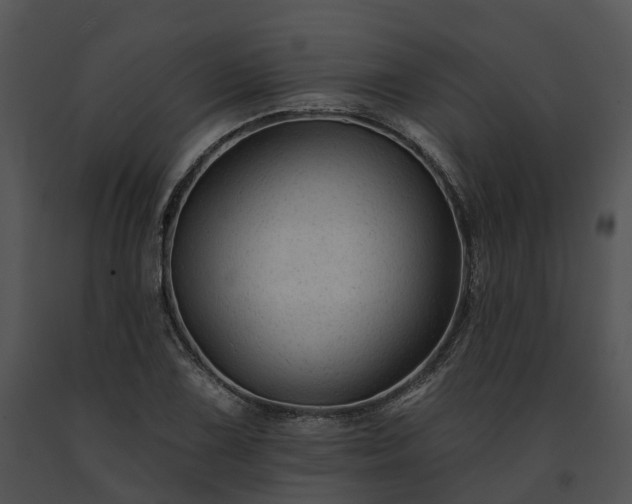 X0000091671075200708301455