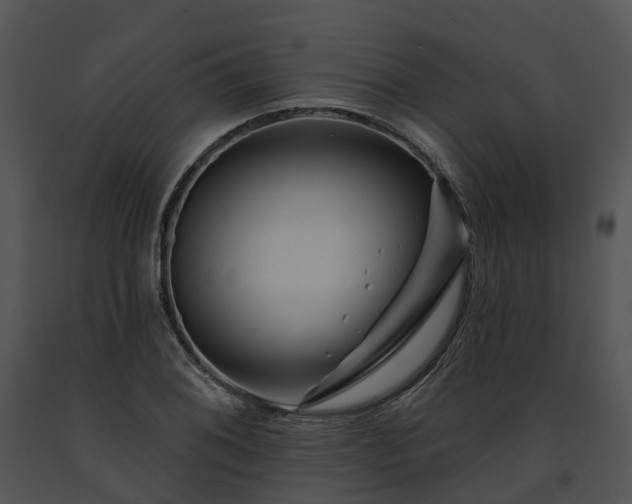 X0000091671076200708301455