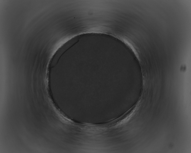 X0000091671077200708301455