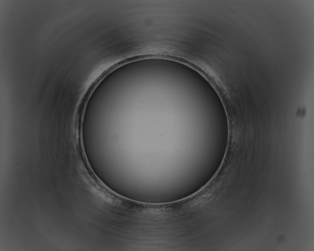 X0000091671078200708301455