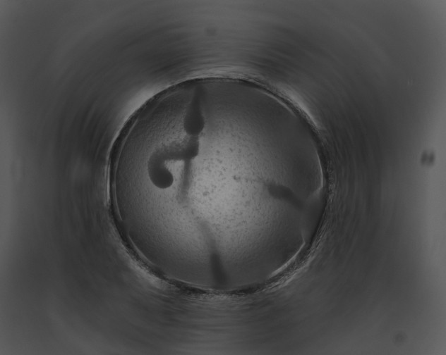 X0000091671079200708301455