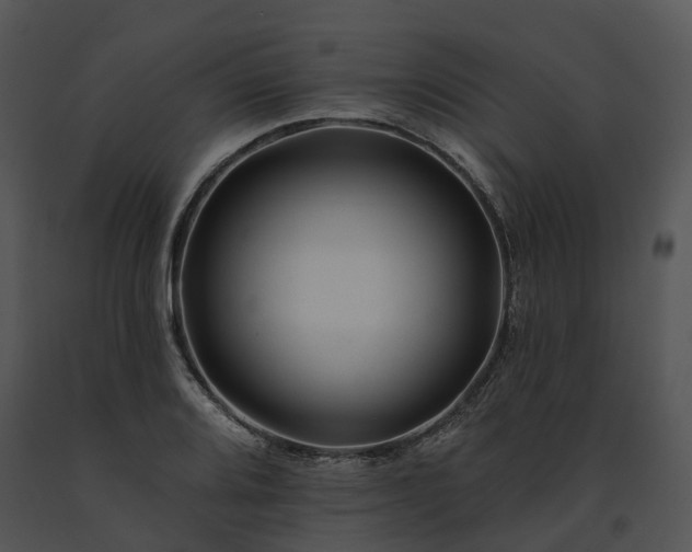 X0000091671080200708301454