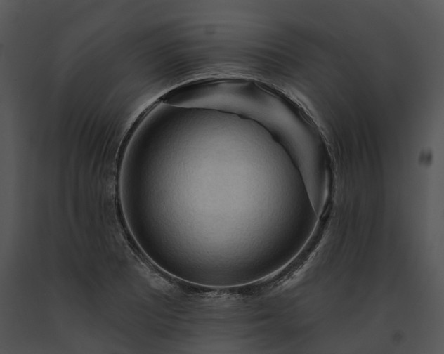 X0000091671081200708301454